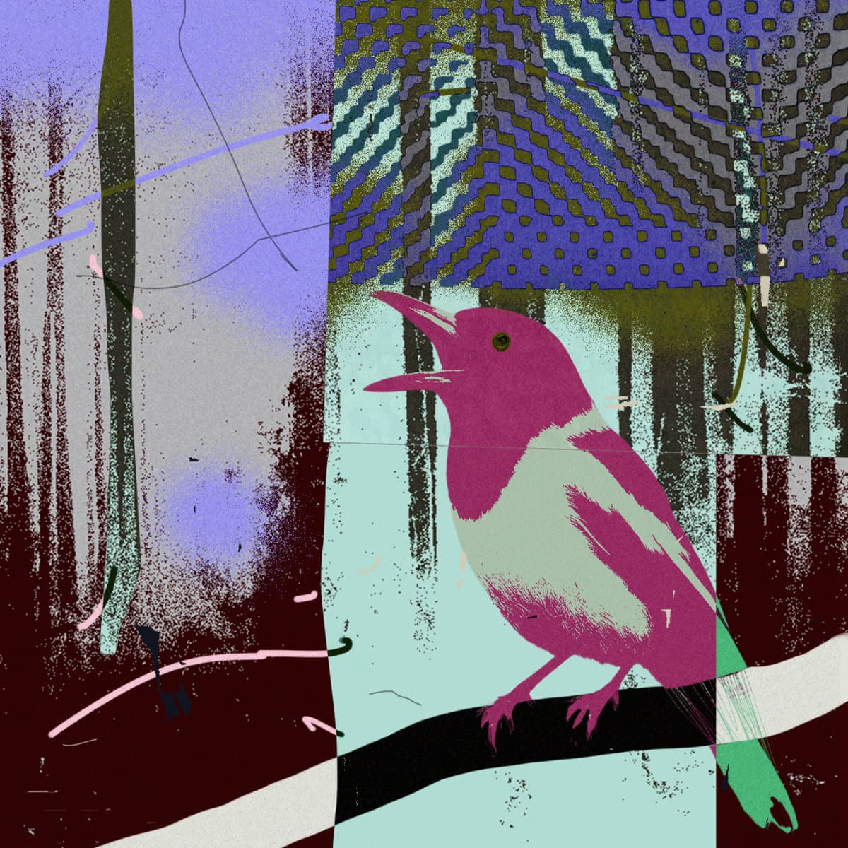 Illustrated cover art of a pink and cream butcherbird perched on a branch